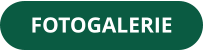 FOTOGALERIE